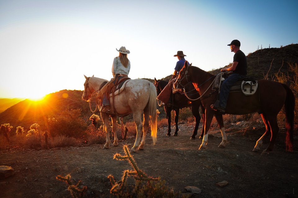 About Cave Creek Trail Rides Horseback Riding Cave Creek, AZ