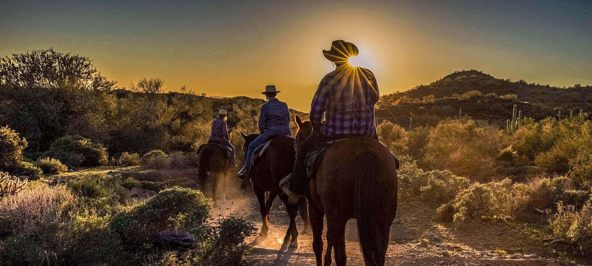 Find the perfect trail ride through Cave Creek Regional Park. 